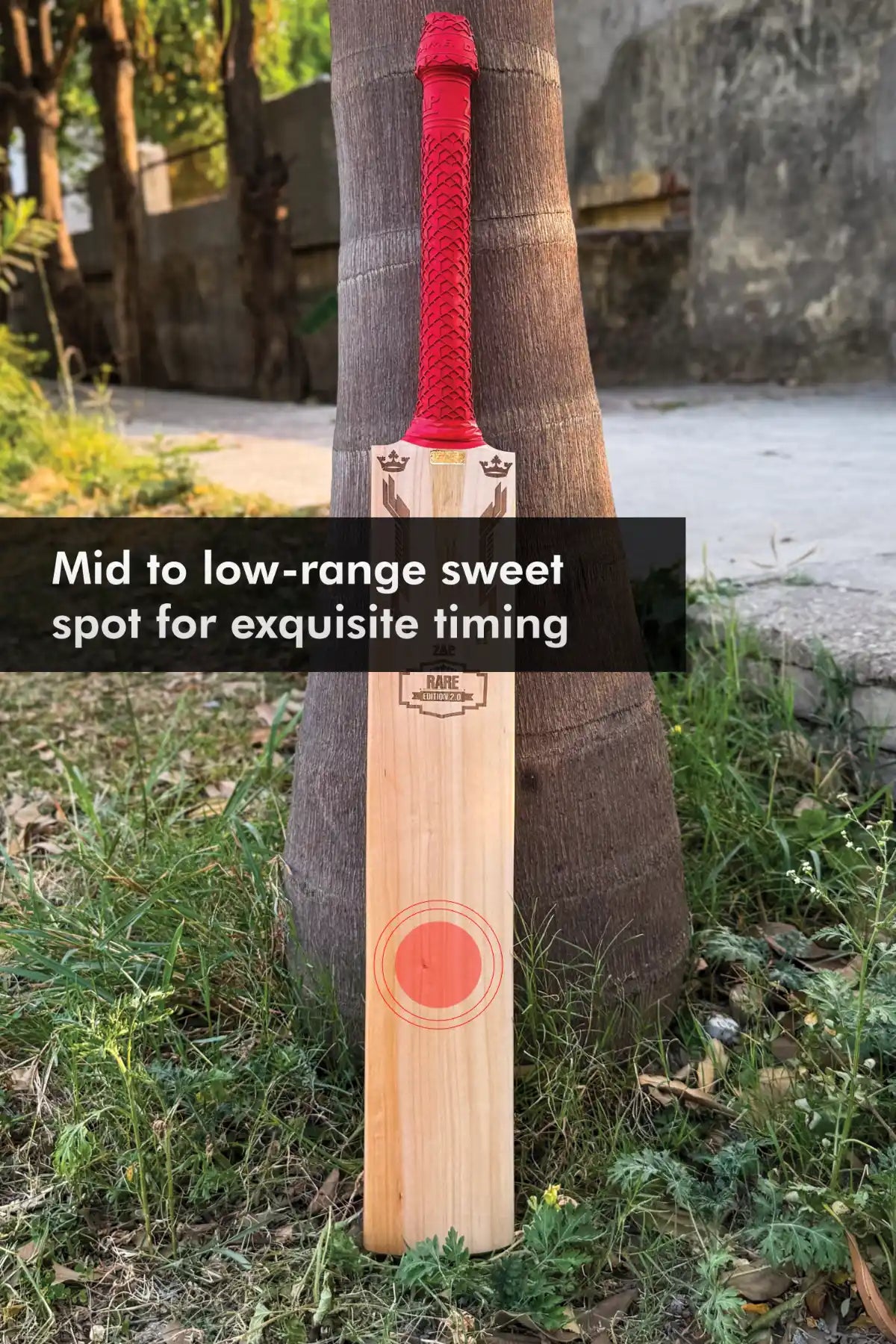 ZAP Signature Rare Edition 2.0 Premium Willow Bat-3