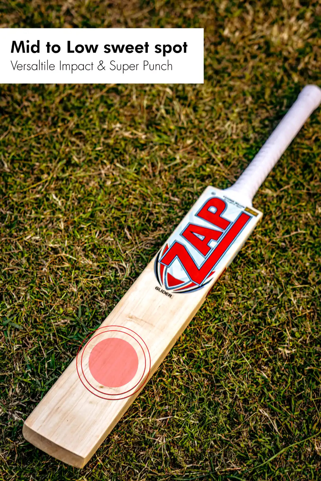 ZAP Glider Kashmir Willow Bat-4