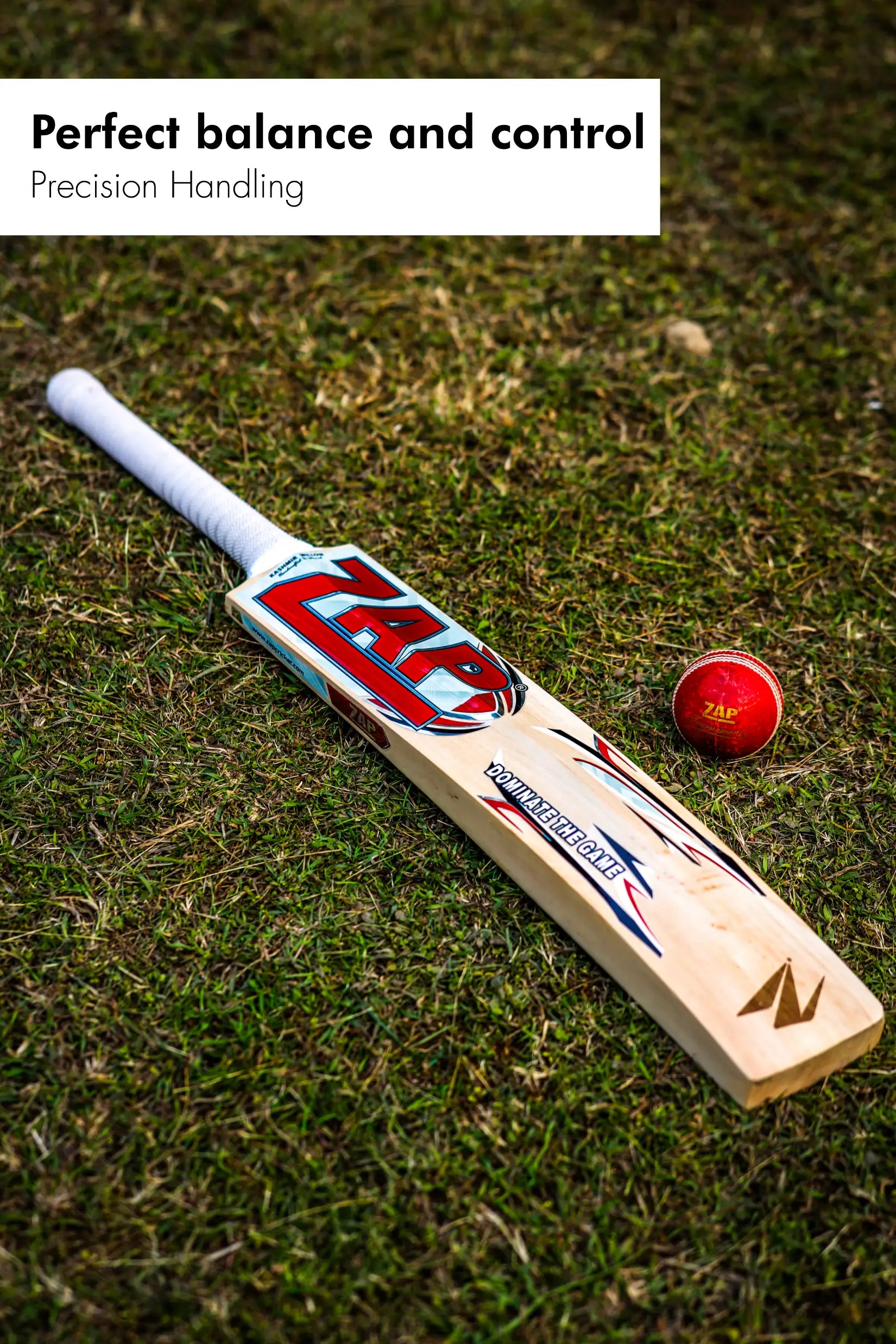 ZAP Glider Kashmir Willow Bat-3