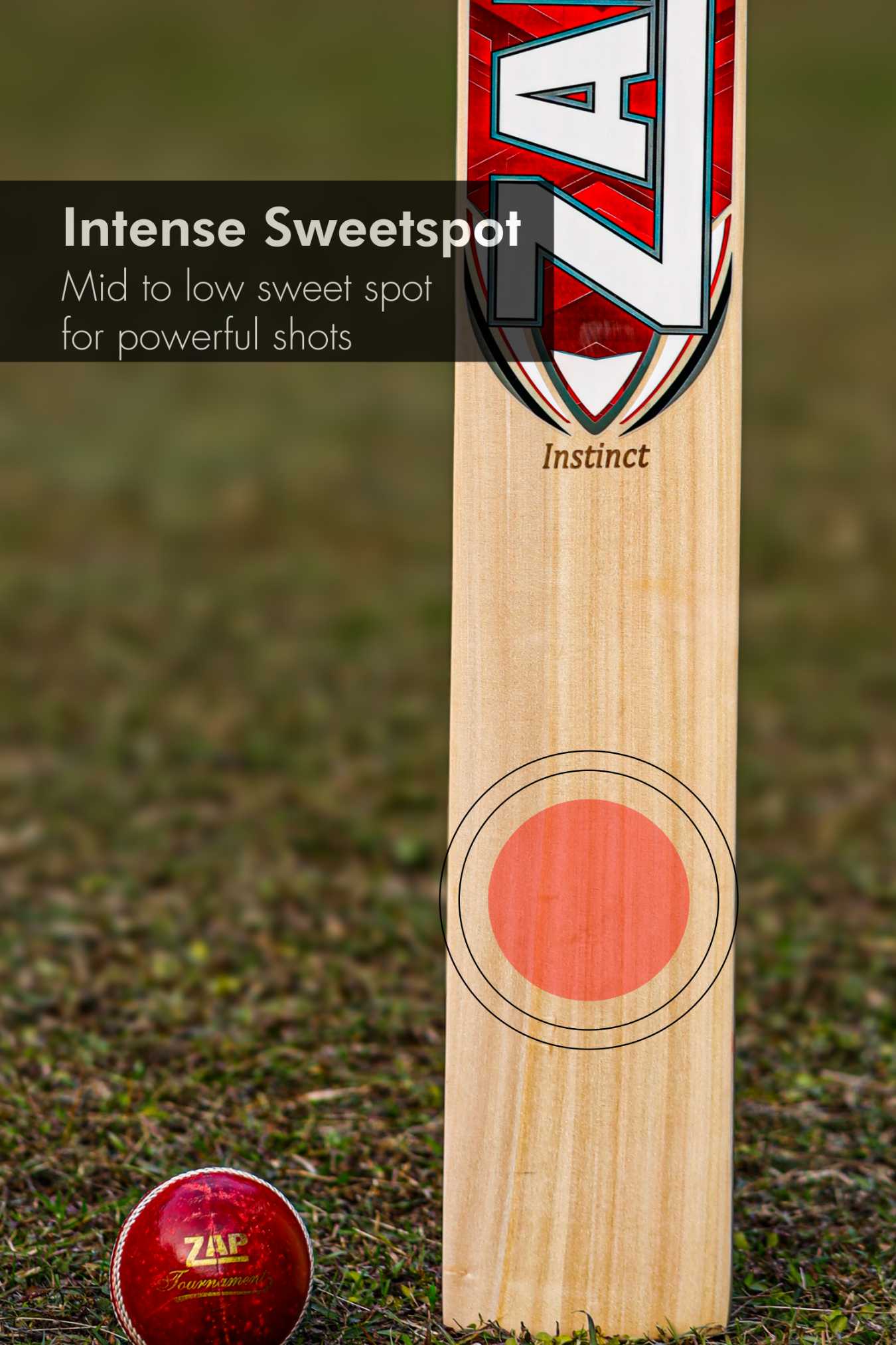 ZAP Instinct Kashmir Willow Bat-2