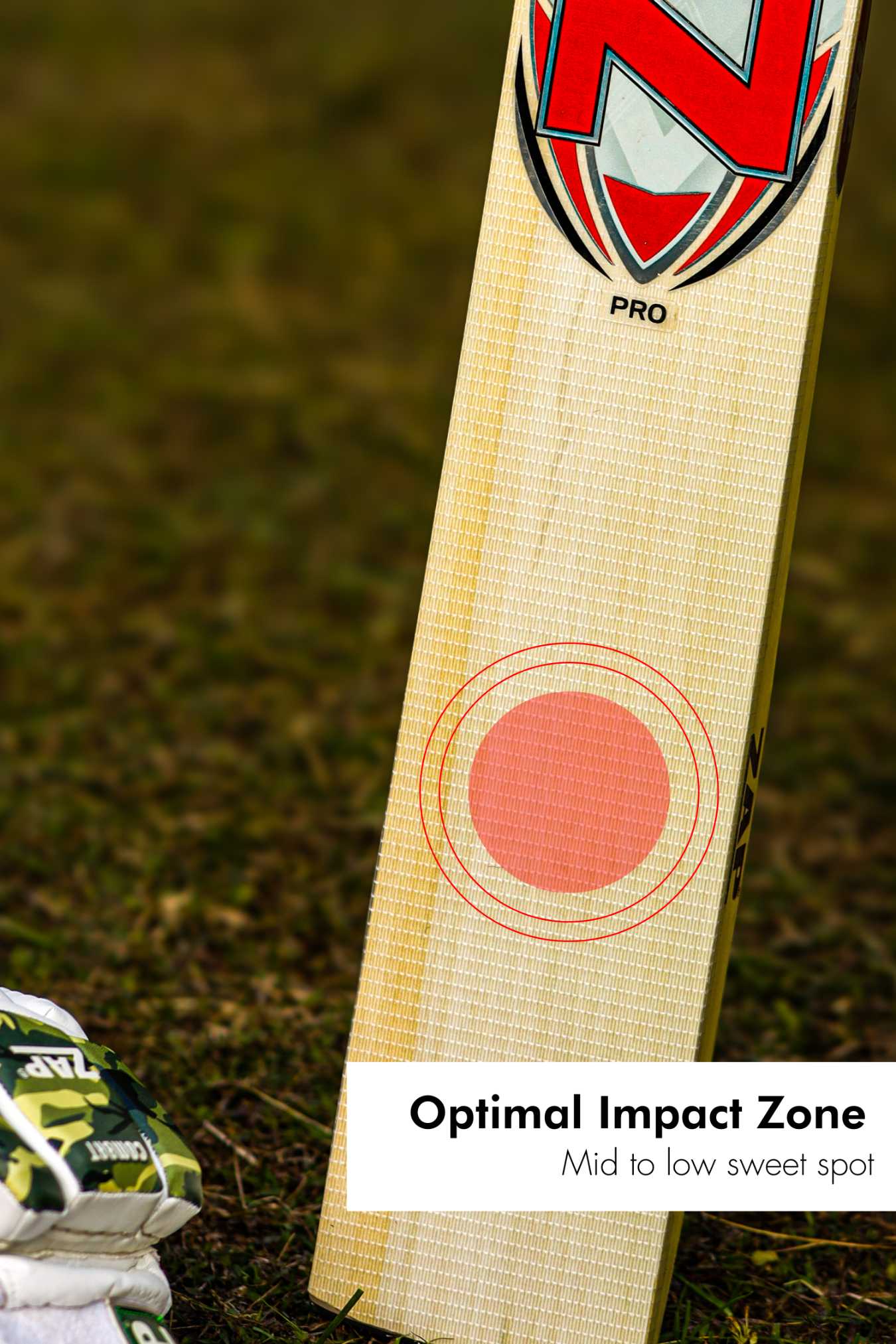 ZAP Pro Kashmir Willow Bat-3