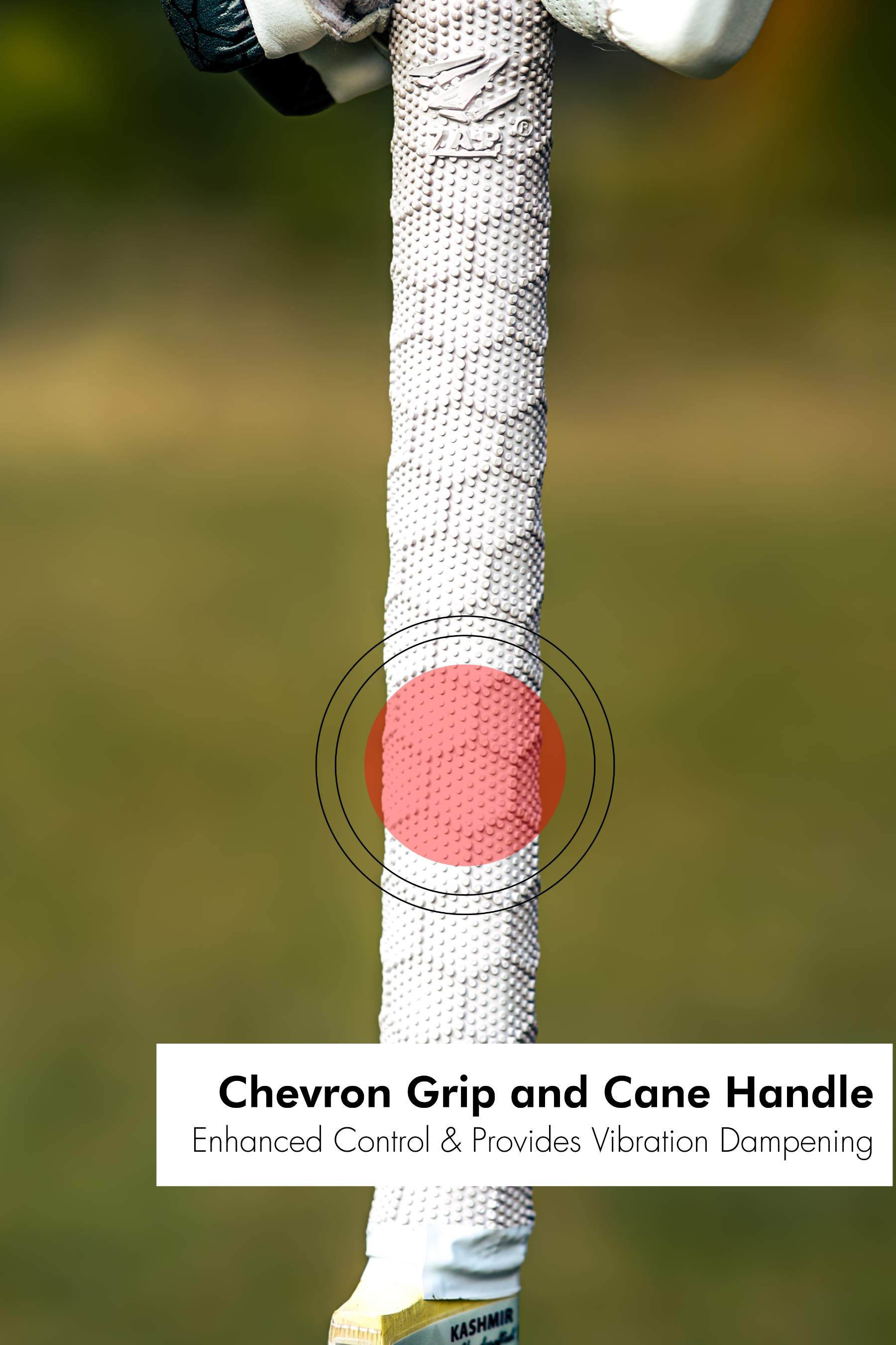 ZAP Pro Kashmir Willow Bat-4