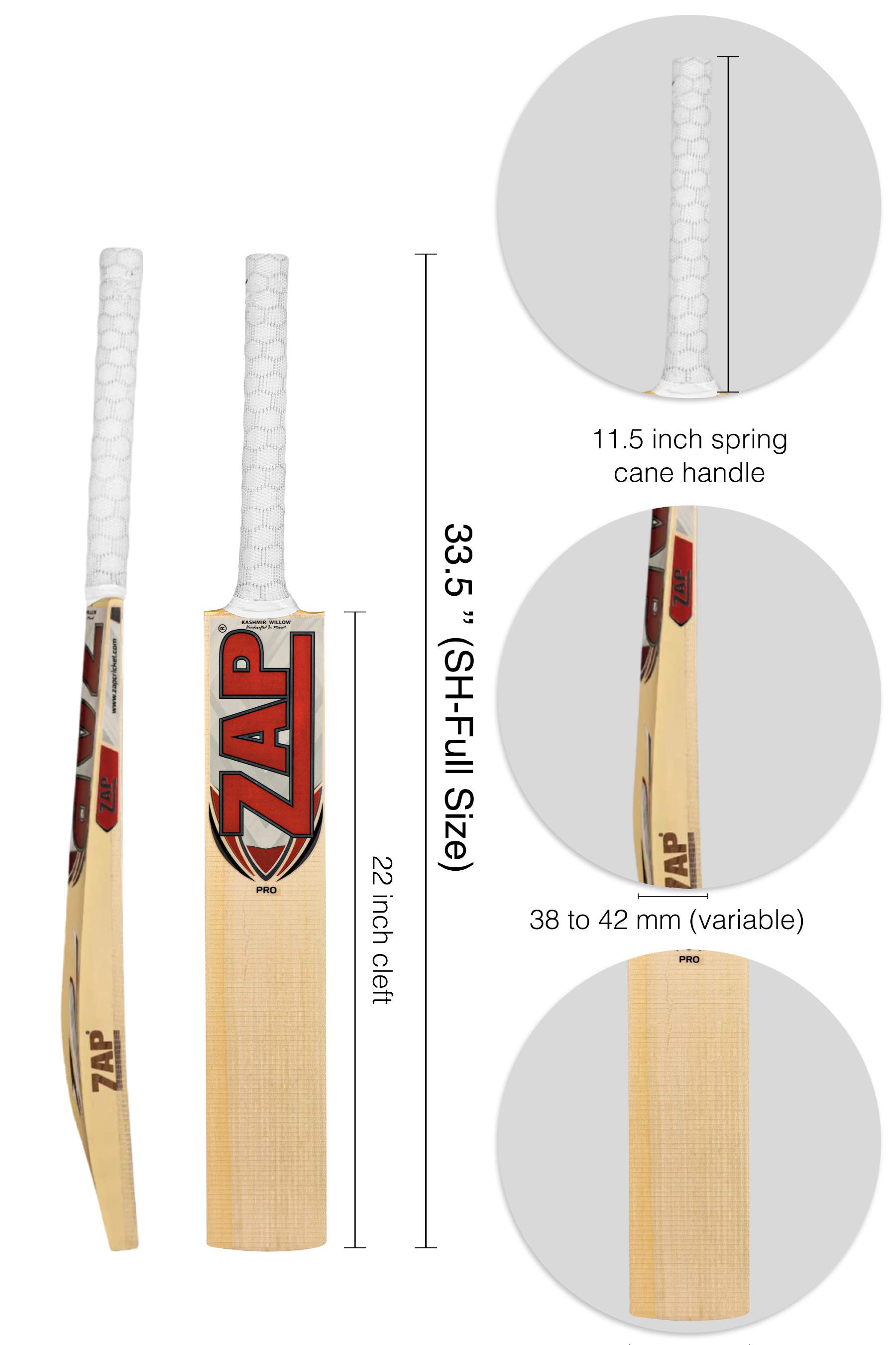 ZAP Pro Kashmir Willow Bat-1