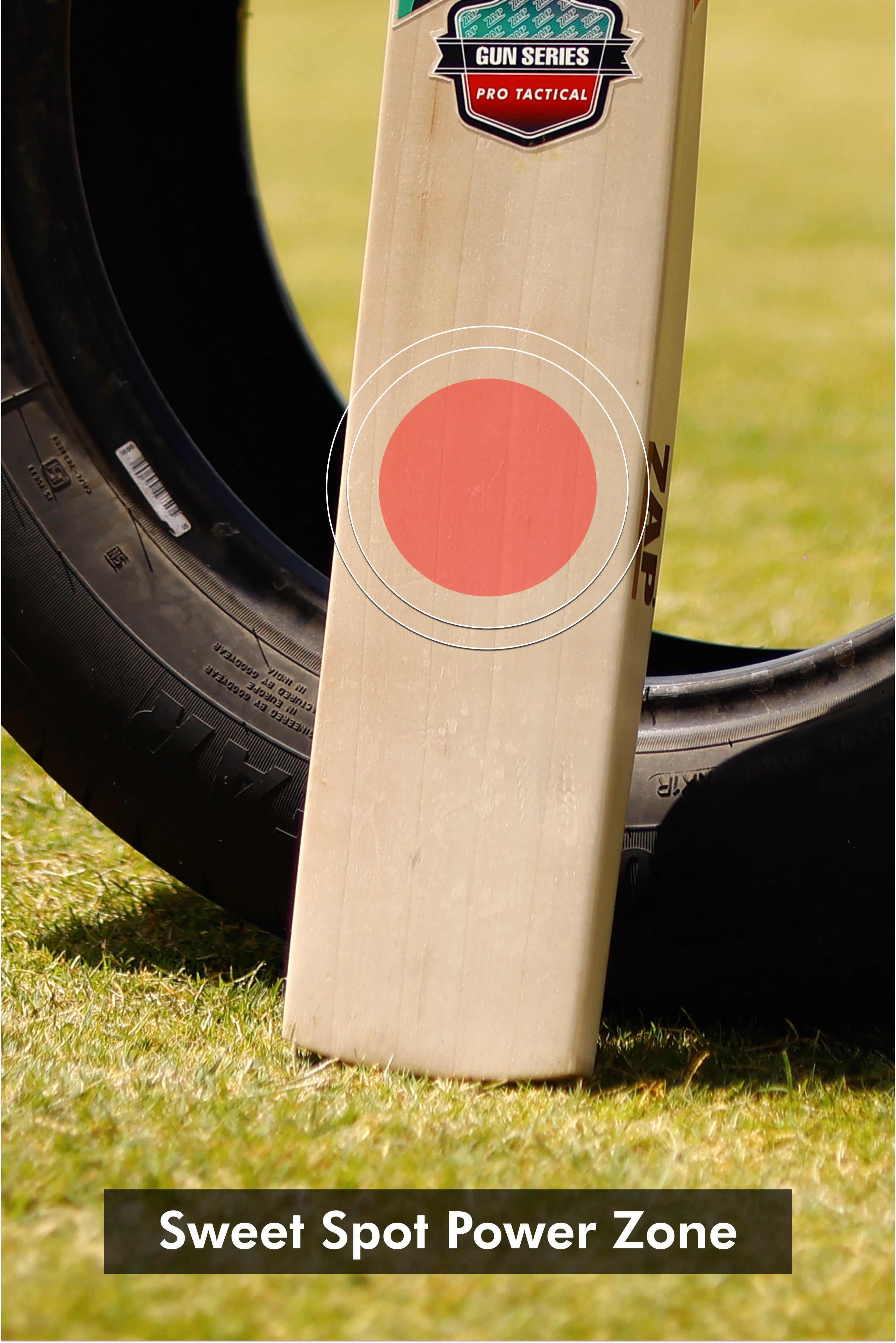 ZAP Gun Pro Tactical English Willow Cricket Bat-2